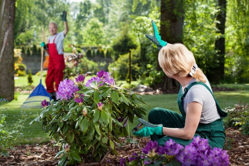 Gardening team working in a Finsbury Park back garden