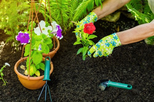 Illustration of secure online payment for gardening services