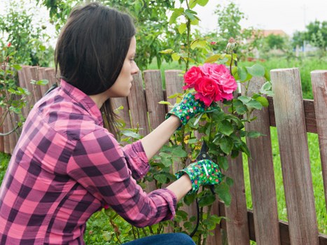 Gardener preparing tools at a park site