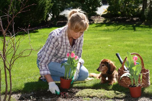 Mulched beds and reused pots showcasing sustainable gardening in Finsbury Park
